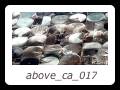above_ca_017