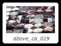 above_ca_019