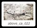 above_ca_022