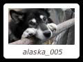 alaska_005