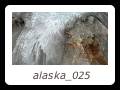 alaska_025