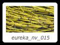 eureka_nv_015