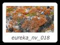 eureka_nv_018