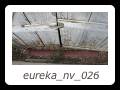 eureka_nv_026