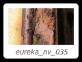 eureka_nv_035