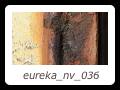 eureka_nv_036