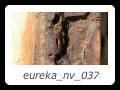 eureka_nv_037