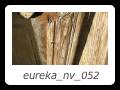 eureka_nv_052