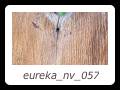 eureka_nv_057