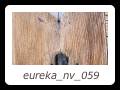 eureka_nv_059