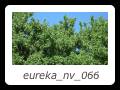 eureka_nv_066