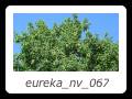 eureka_nv_067