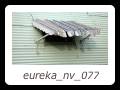 eureka_nv_077