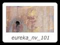 eureka_nv_101