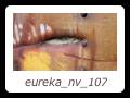 eureka_nv_107