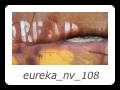 eureka_nv_108