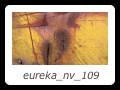 eureka_nv_109
