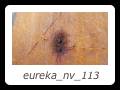 eureka_nv_113