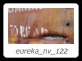 eureka_nv_122