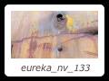 eureka_nv_133