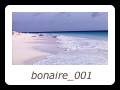 bonaire_001