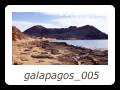 galapagos_005