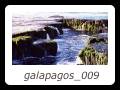 galapagos_009