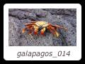 galapagos_014