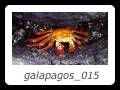 galapagos_015
