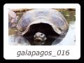 galapagos_016