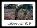 galapagos_019