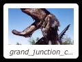 grand_junction_co_006