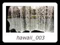 hawaii_003