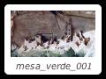 mesa_verde_001