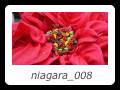 niagara_008