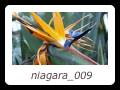 niagara_009