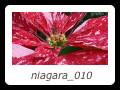 niagara_010