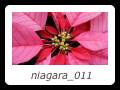 niagara_011