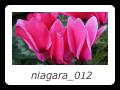 niagara_012