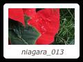 niagara_013