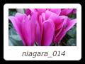 niagara_014