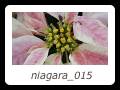 niagara_015