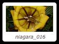 niagara_016