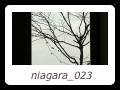 niagara_023