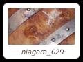 niagara_029