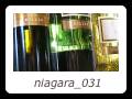 niagara_031