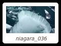niagara_036