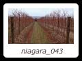 niagara_043