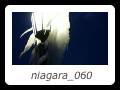 niagara_060