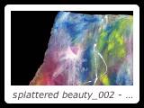 splattered beauty_002 - mixed media - 28 inches x 22 inches
